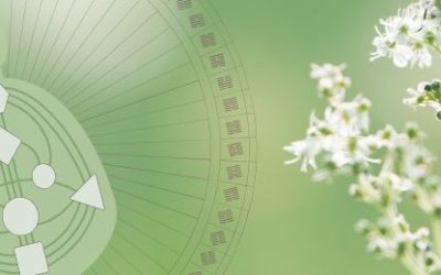 Pourquoi il est essentiel de regarder votre schéma corporel du Design Humain dans son entier ?