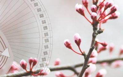 Pourquoi vous ne vous reconnaissez pas dans votre carte de Design Humain ?
